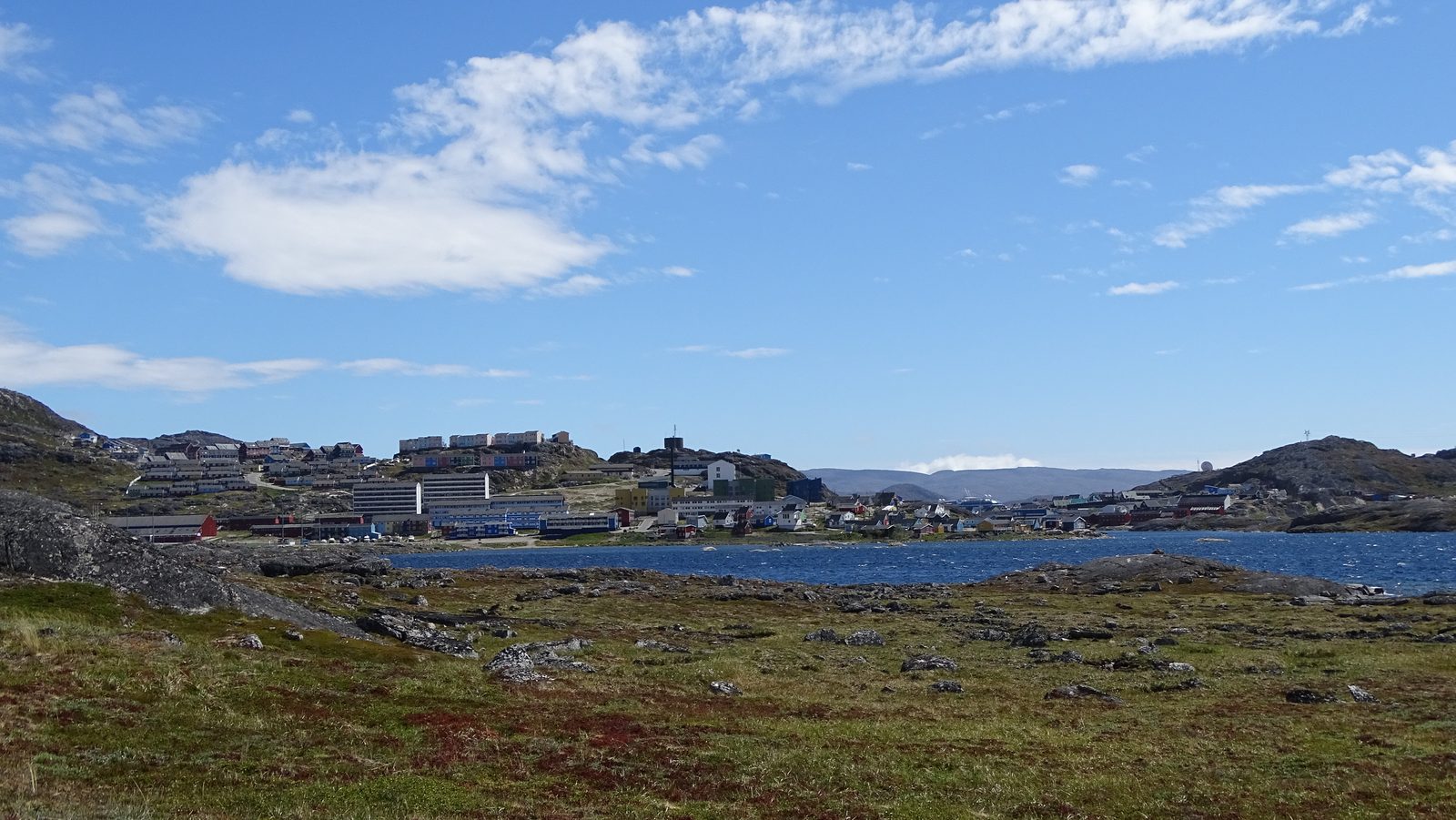 DSC01313.JPG